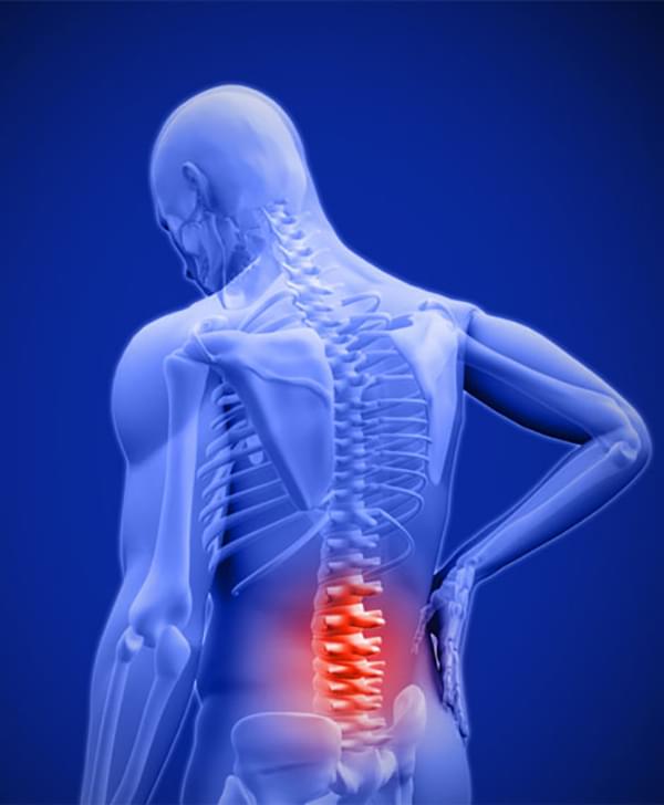 back pain in lower spine diagram