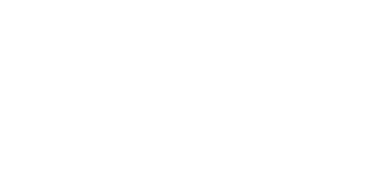 Tyler Neurosurgical Associates Logo